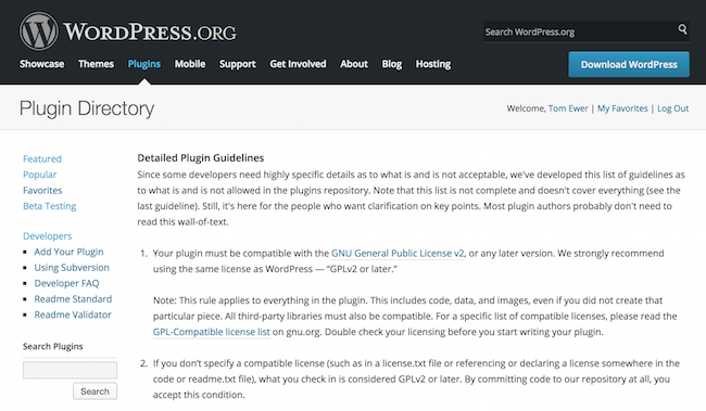 WordPress plugin guidelines