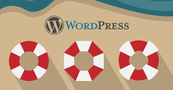 WordPress Developers: How to Choose the Best Support Platform for You