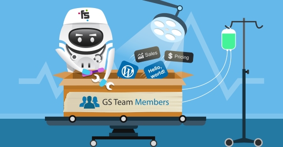 WordPress Products, Audited: The ‘GS Team Members’ Case-study