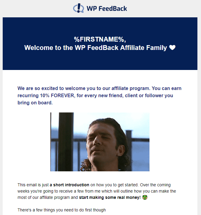 WP FeedBack affiliate email