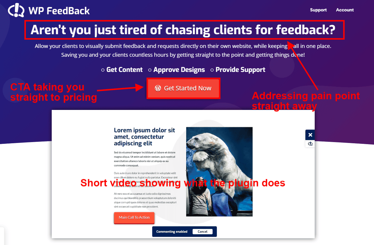 WP FeedBack landing page annotated