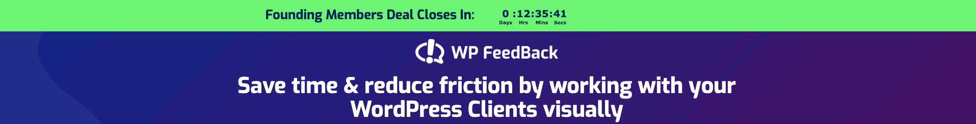 WP FeedBack timer example