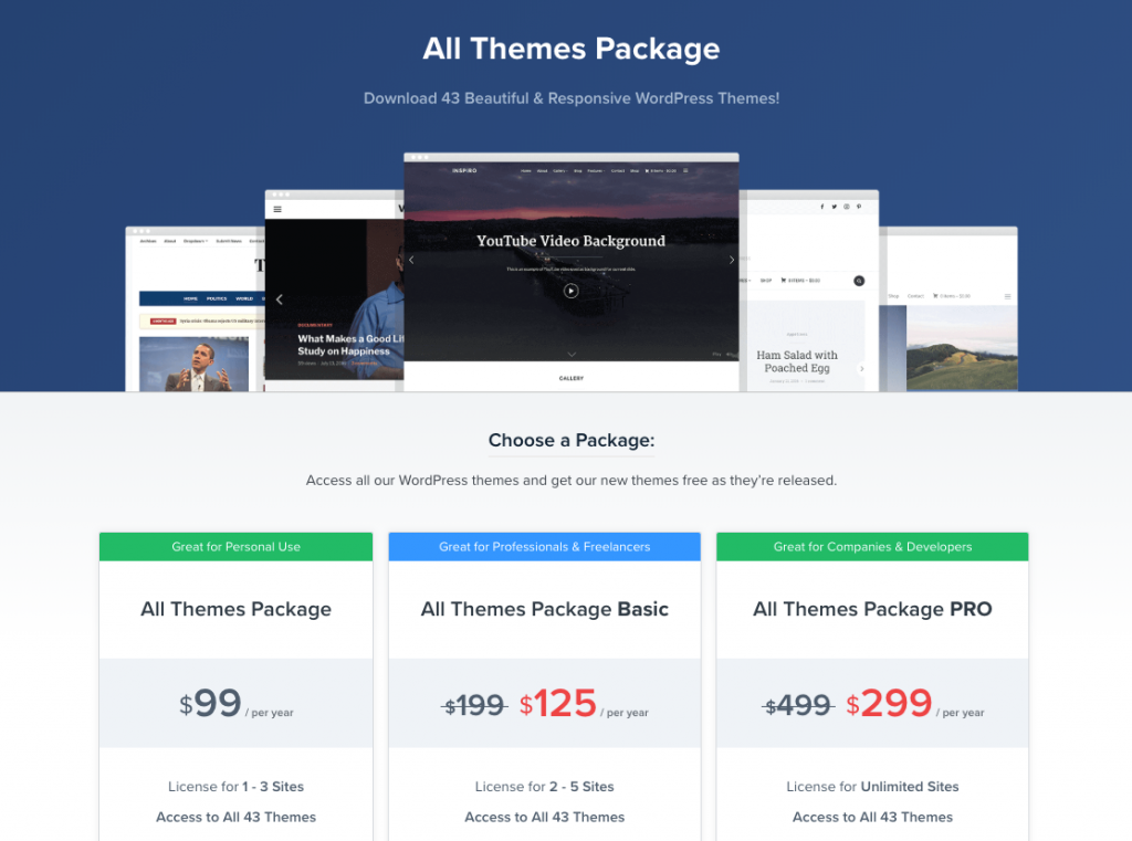 Theme Package Pricing