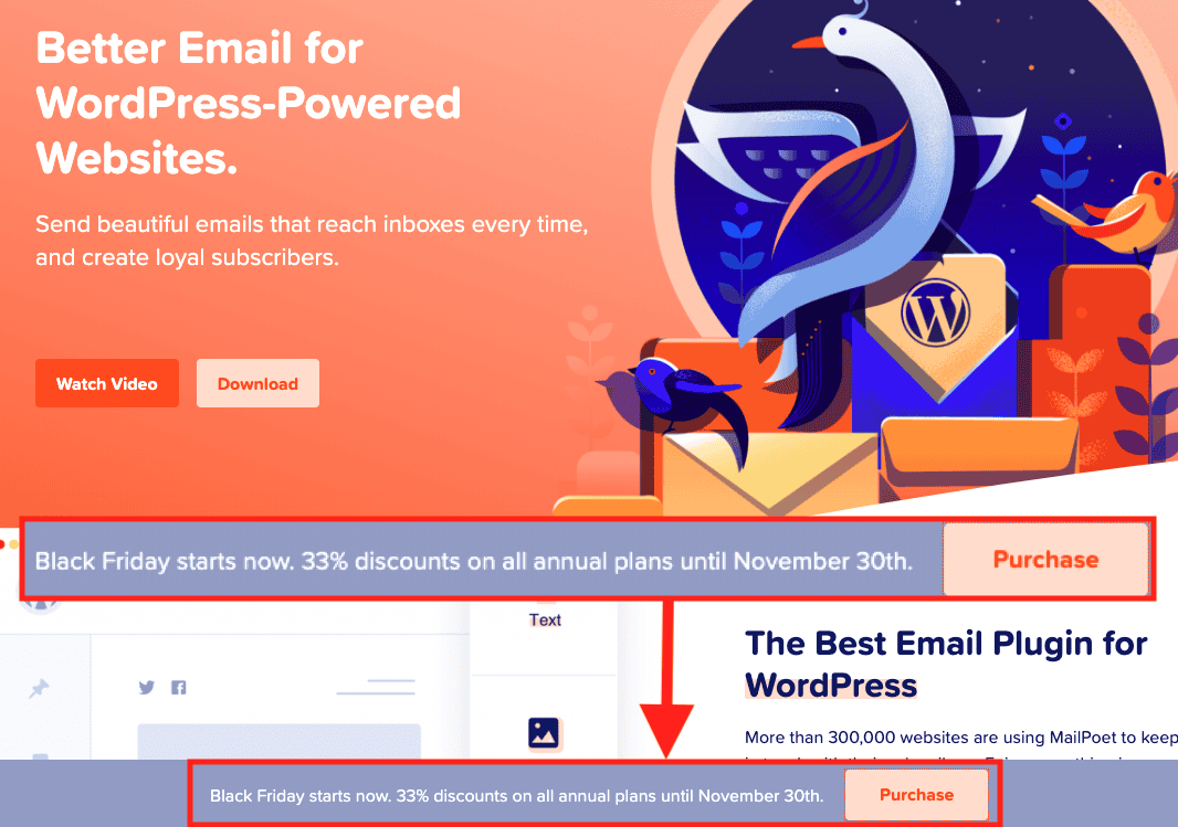 MailPoet Black Friday notification bar