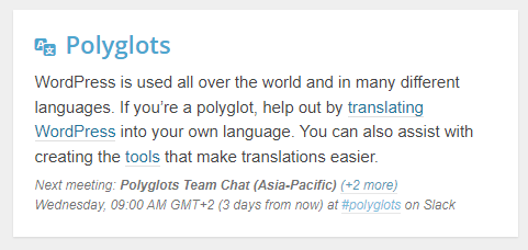 How Polyglots Can Start Contributing To WordPress - Text Visual