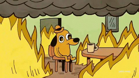 dog drinking coffee with cap sorrounds with fire saying the words" This is fine"