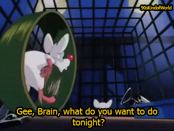 cartoon rat in a roller wheel with the words "Gee, Brain, what do you want to do tonight?"