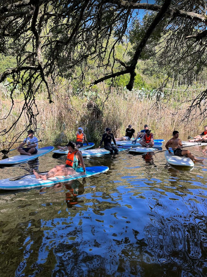 Freemius teaming paddleboarding Portugal team retreat