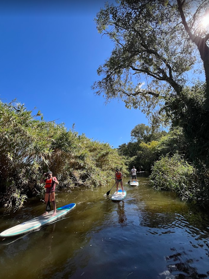 Freemius teaming paddleboarding Portugal team retreat