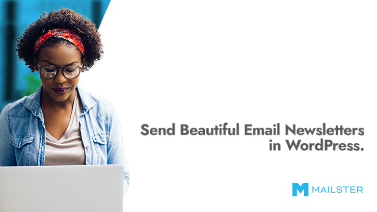 Mailster Newsletter Plugin